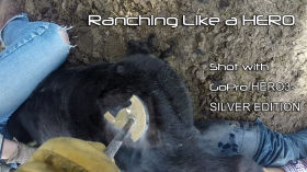 Ranching Like A Hero by mix_studios